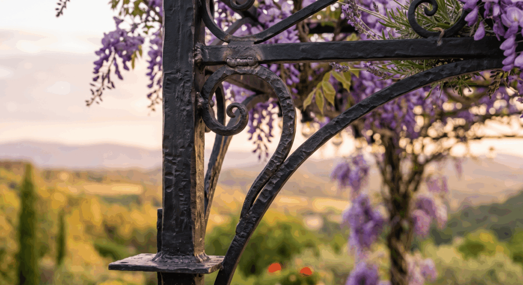 pergola en fer forgé