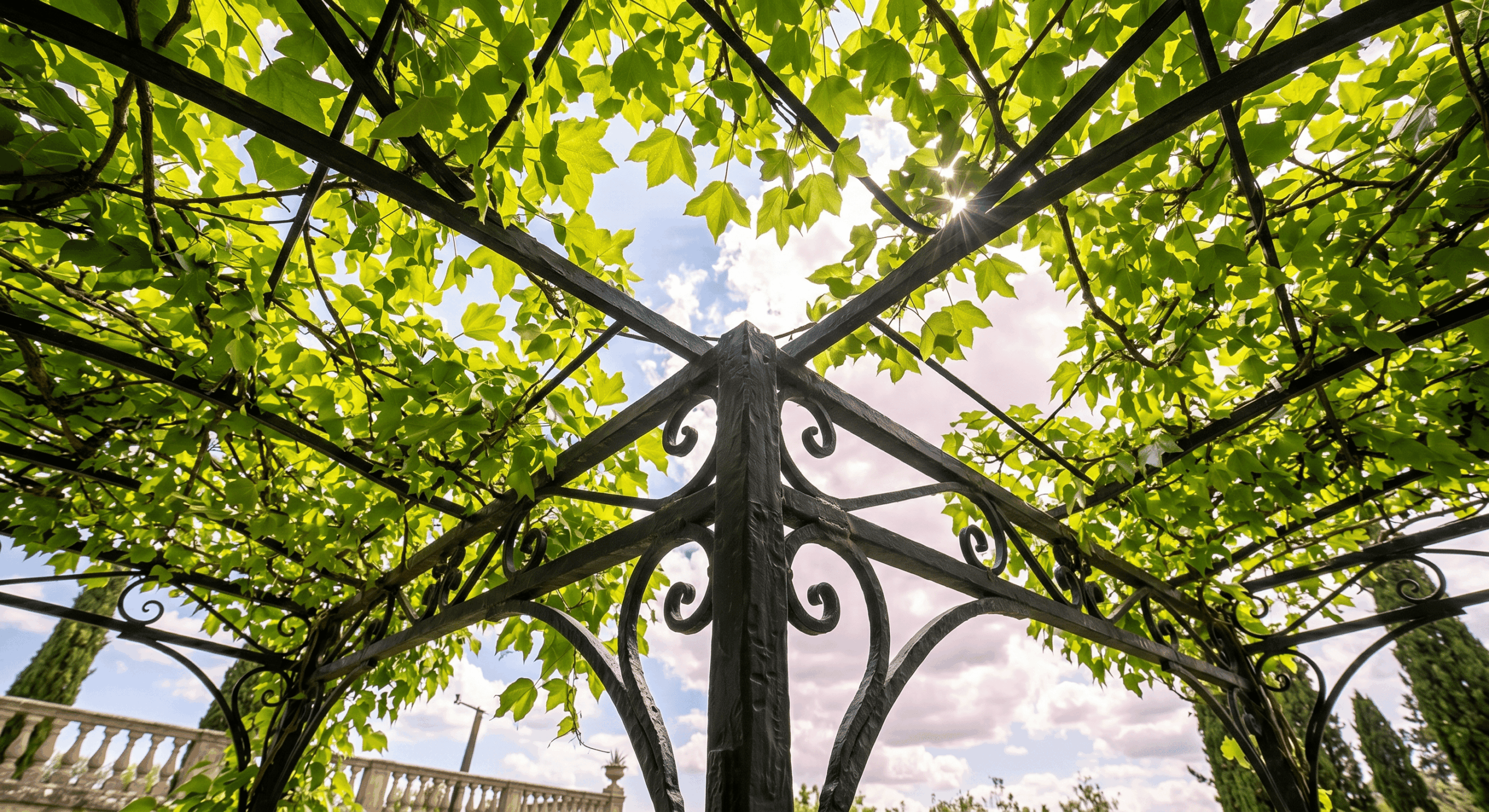 pergola en fer forgé sur-mesure